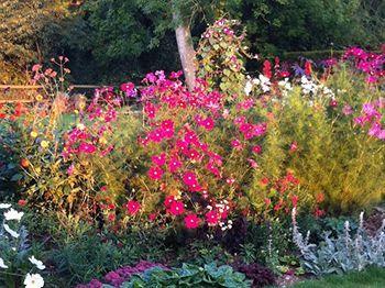 Gunville House B&B Grateley Εξωτερικό φωτογραφία